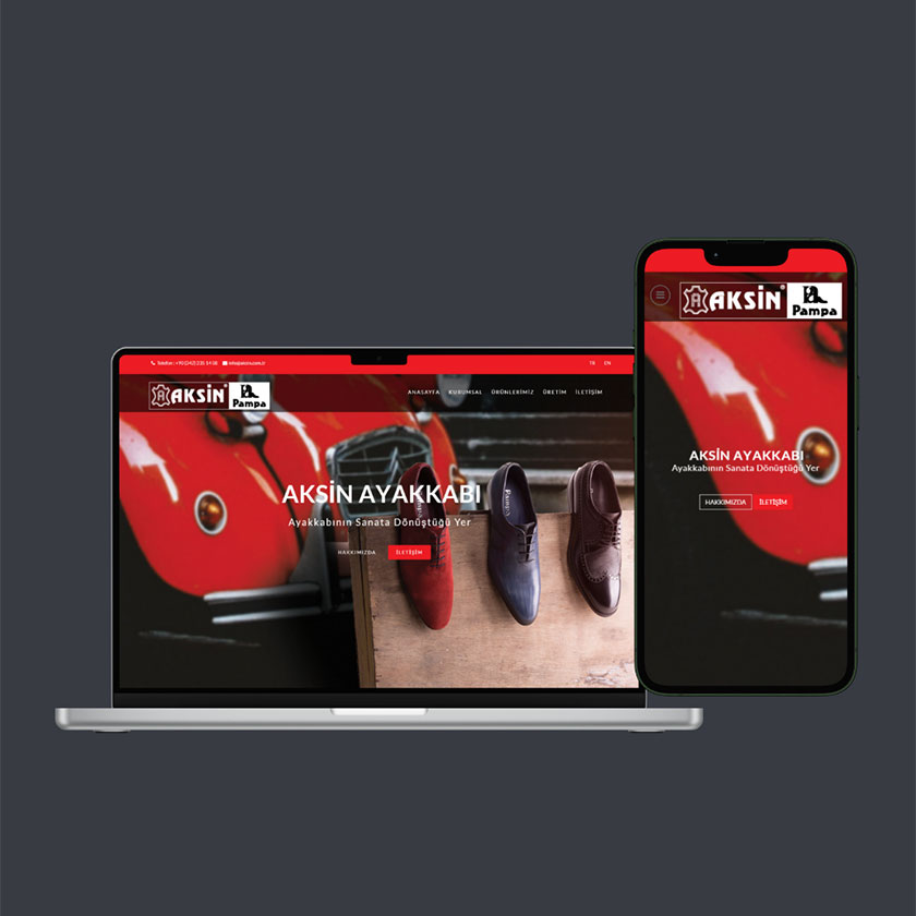 Aksin Ayakkabı